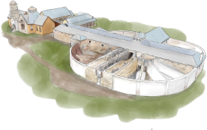 The Asylum & Separate Prison